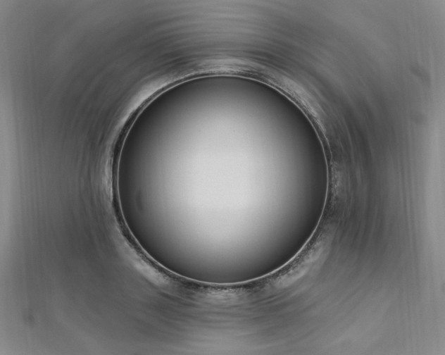X0000112720843200908201246