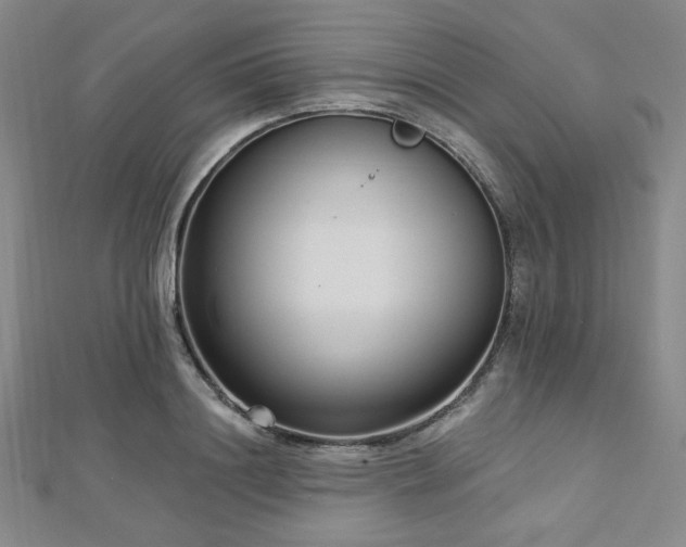 X0000112720844200908201246