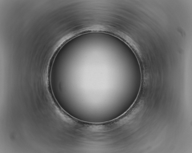 X0000112720845200908201246