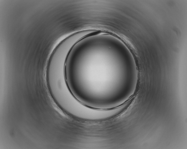 X0000112720846200908201246