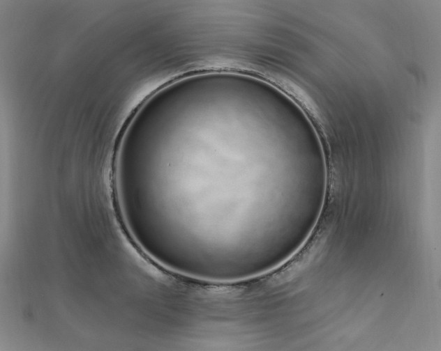 X0000112720847200908201246