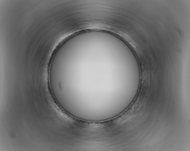 X0000112720848200908201246