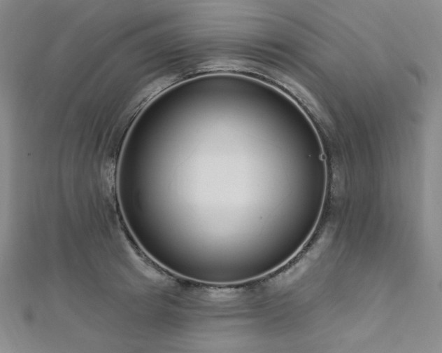 X0000112720849200908201246