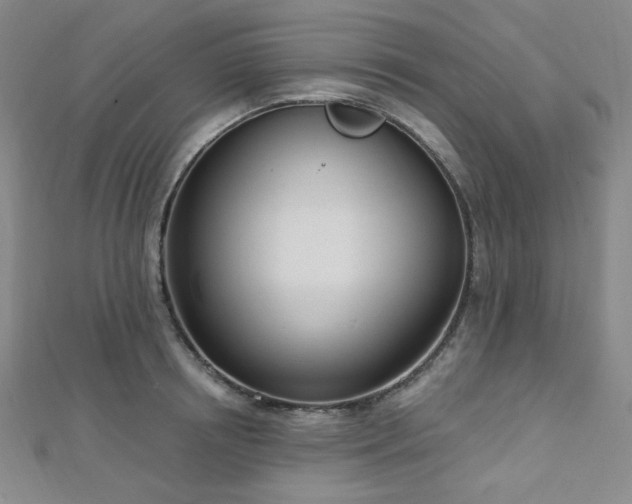X0000112720850200908201246