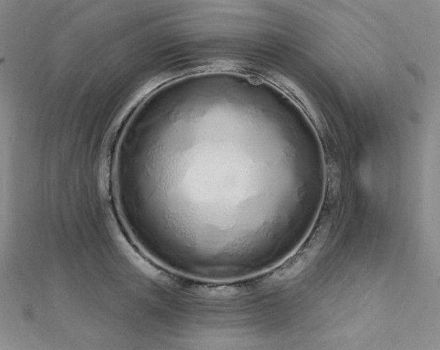 X0000112720851200908201246