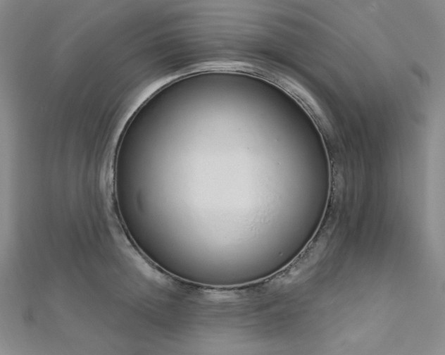 X0000112720852200908201246