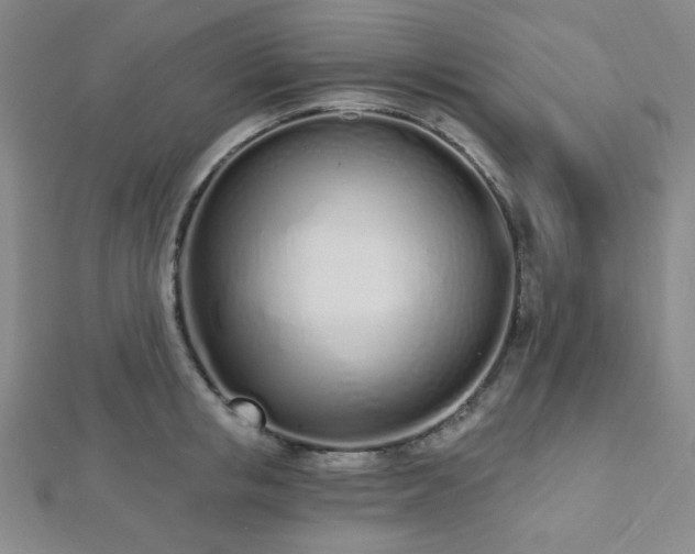 X0000112720853200908201246