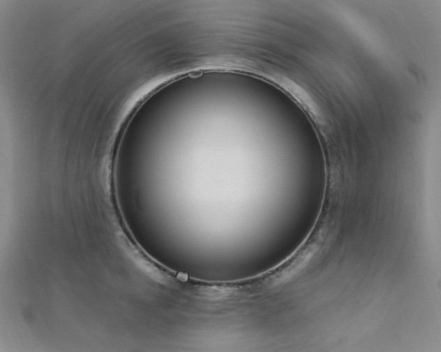X0000112720854200908201246