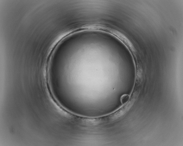 X0000112720855200908201246