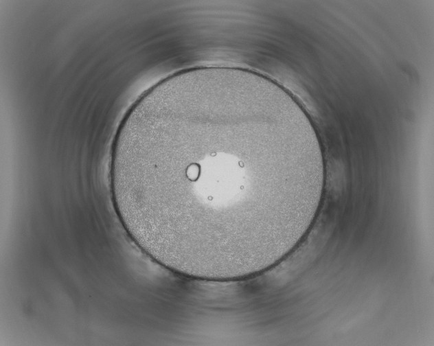 X0000112720856200908201246