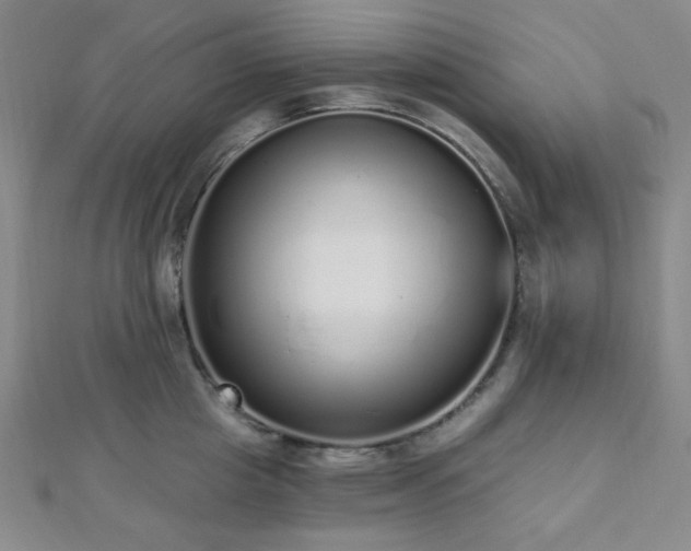 X0000112720857200908201246