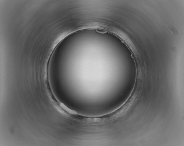 X0000112720858200908201246