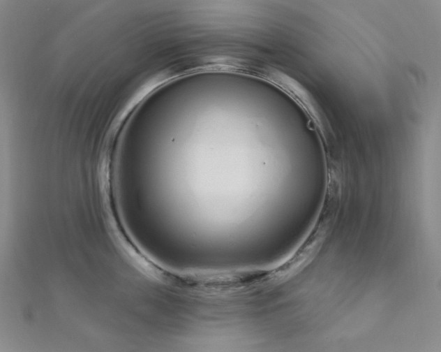 X0000112720859200908201246