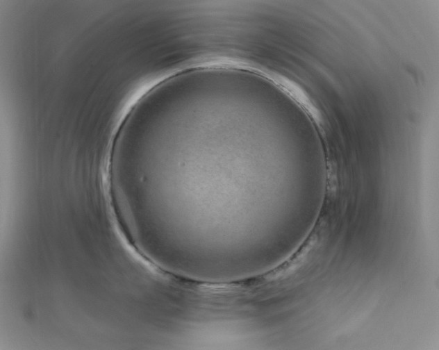 X0000112720863200908201246