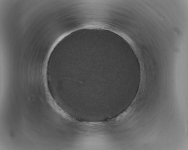 X0000112720864200908201247