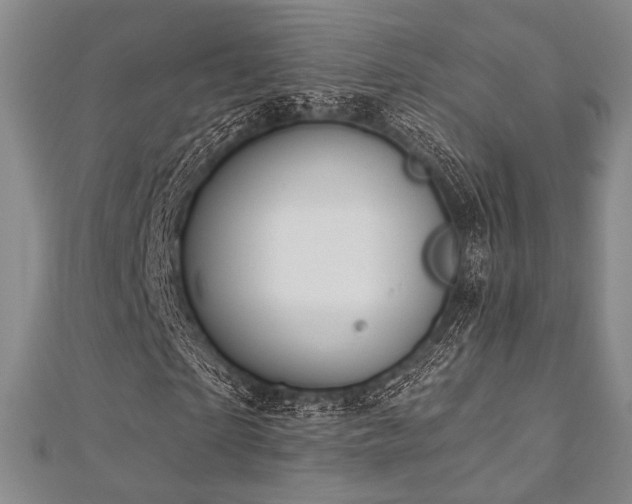 X0000112720865200908201246