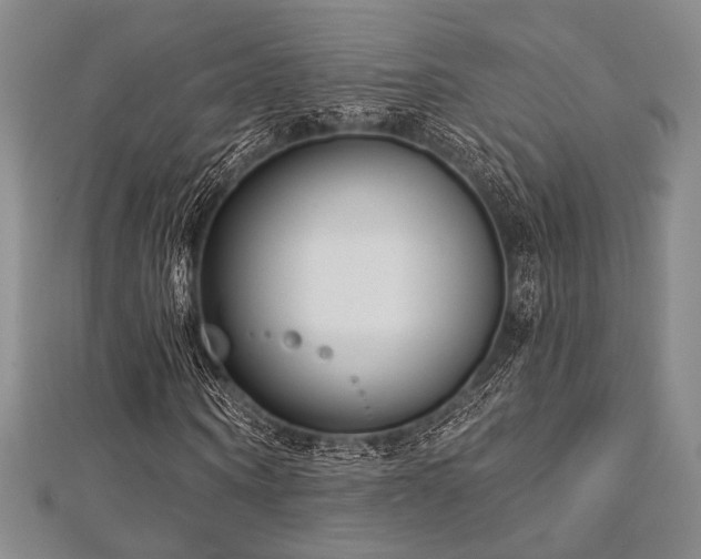 X0000112720866200908201246