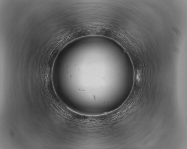 X0000112720867200908201246