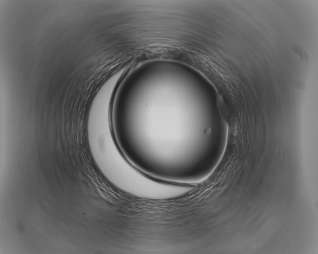 X0000112720868200908201246
