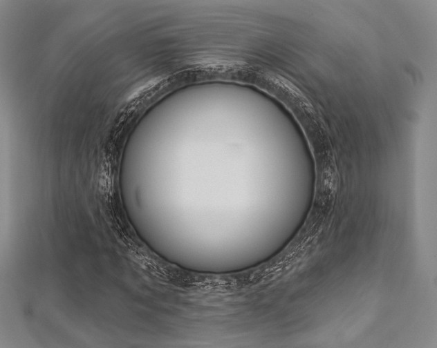 X0000112720869200908201246