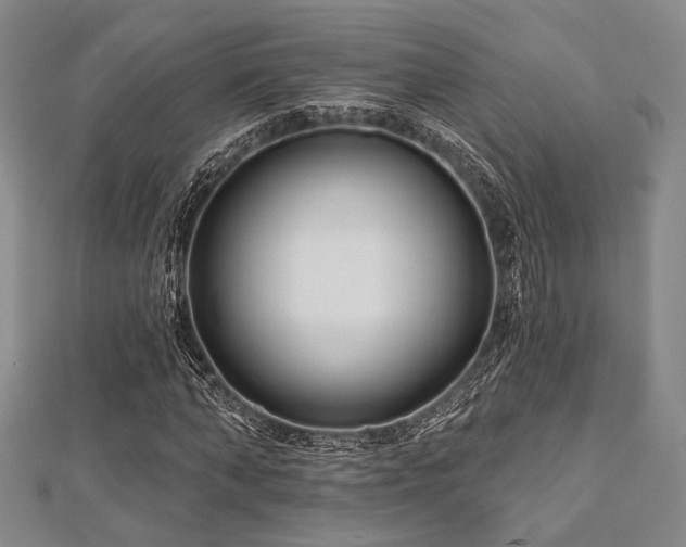X0000112720870200908201246