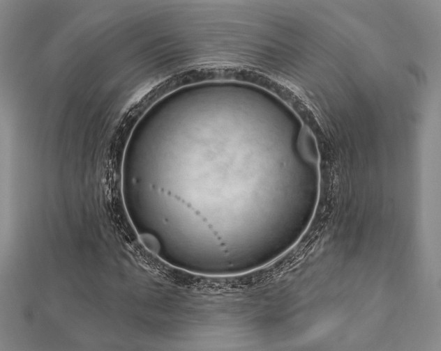 X0000112720871200908201246