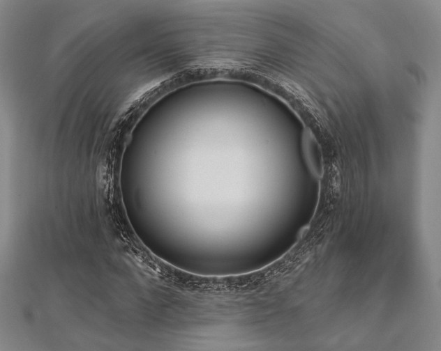 X0000112720872200908201246