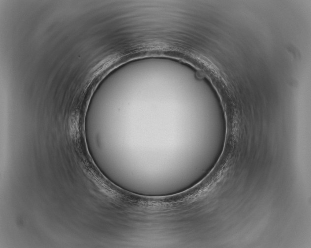 X0000112720873200908201246