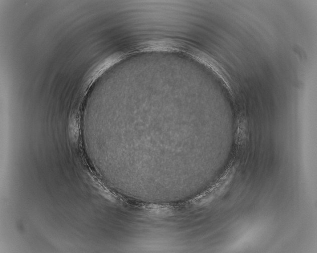 X0000112720874200908201246