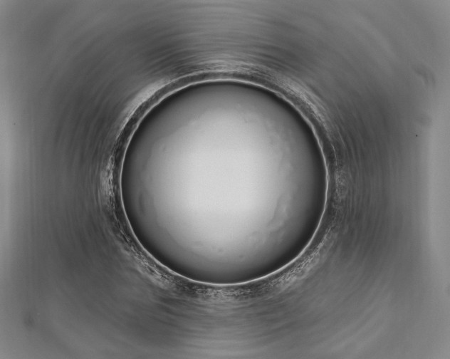 X0000112720875200908201246