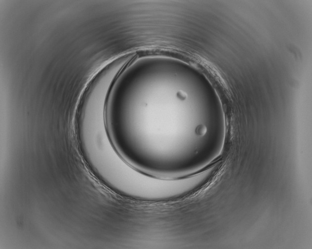 X0000112720876200908201246