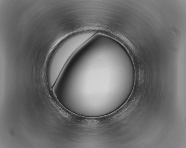 X0000112720878200908201246