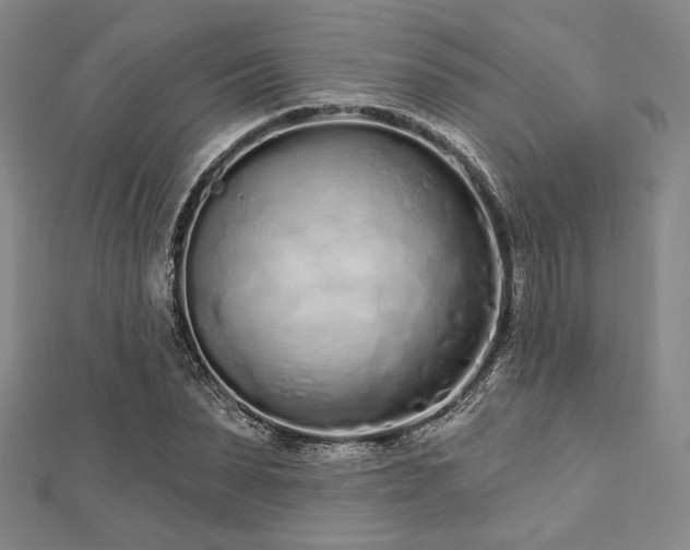 X0000112720879200908201246