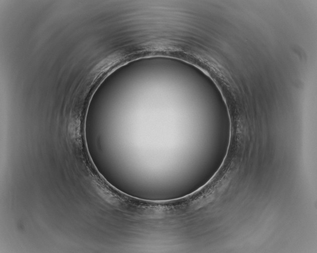 X0000112720881200908201246