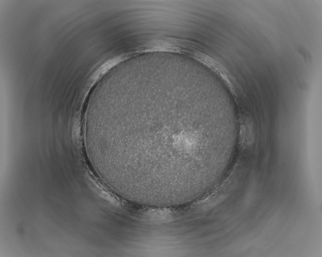 X0000112720882200908201246