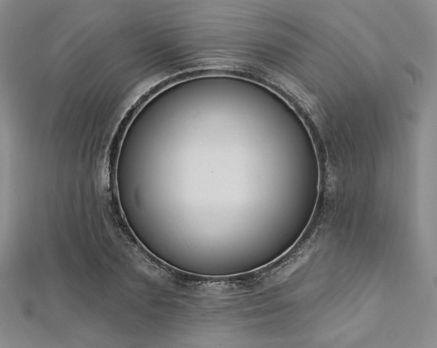 X0000112720883200908201246