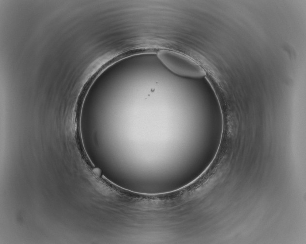 X0000112720885200908201246