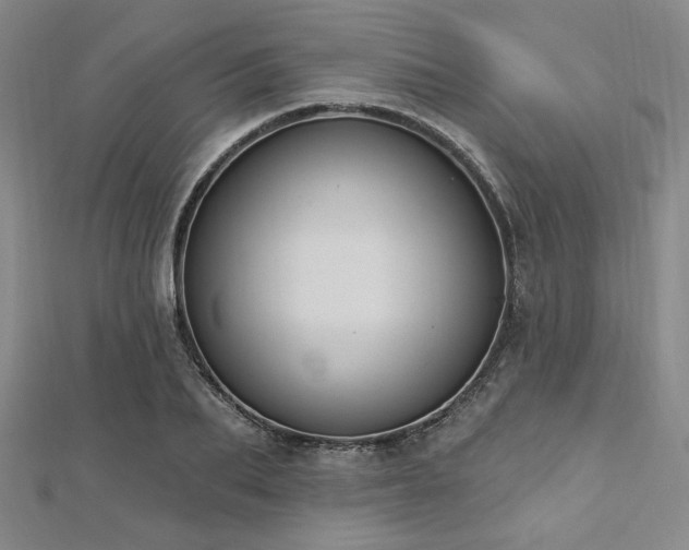 X0000112720887200908201246