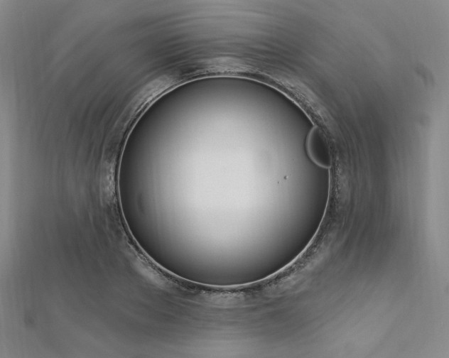 X0000112720889200908201246