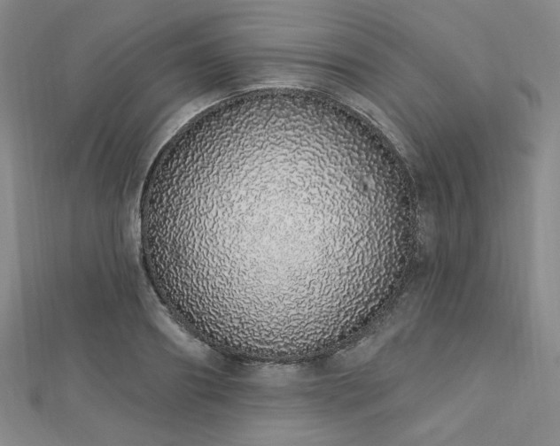 X0000112720890200908201246