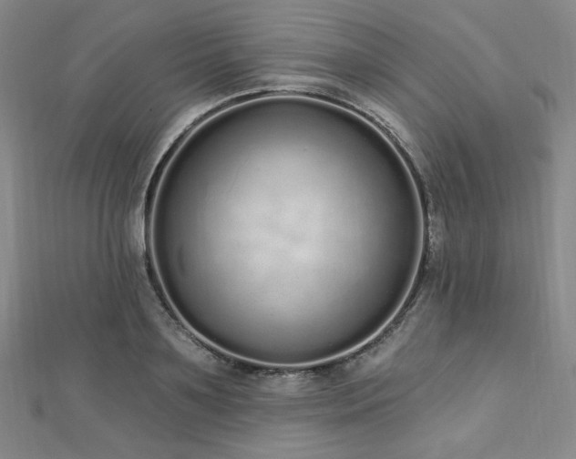 X0000112720891200908201246