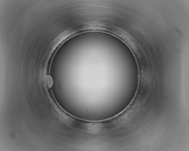X0000112720893200908201246