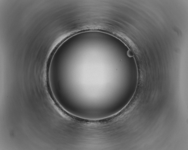X0000112720894200908201246