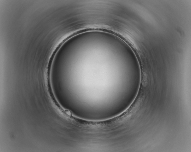 X0000112720895200908201245