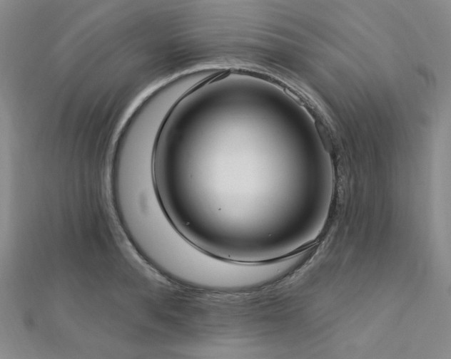 X0000112720896200908201245