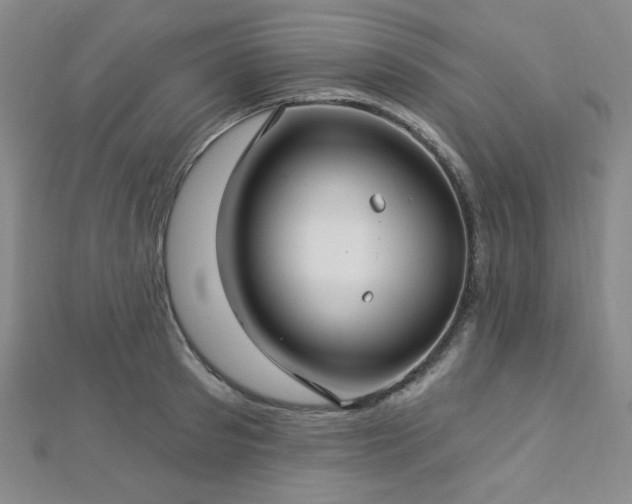 X0000112720897200908201245