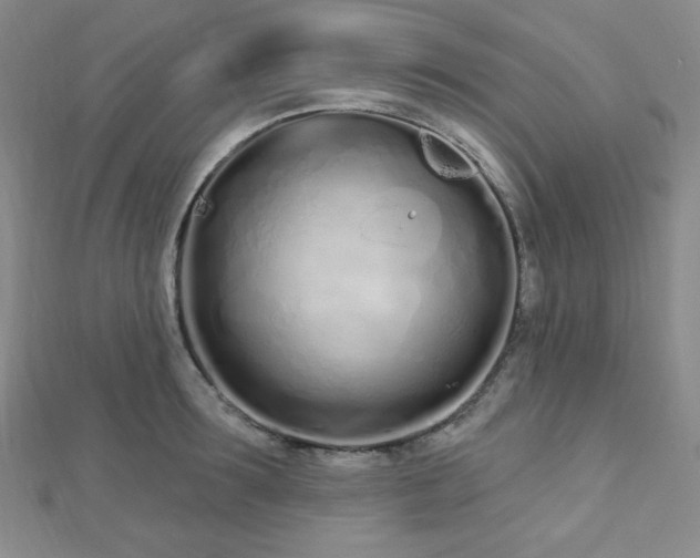 X0000112720899200908201245