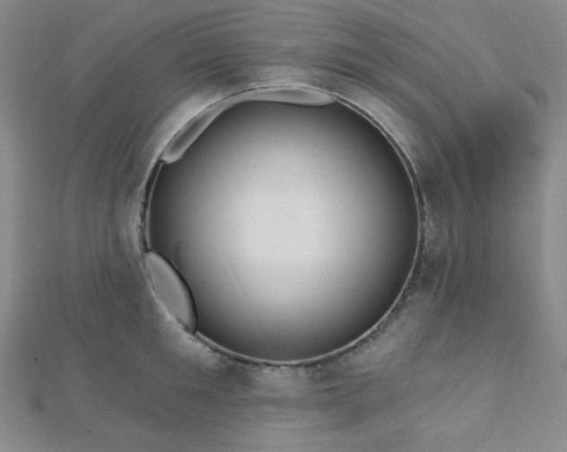 X0000112720901200908201245