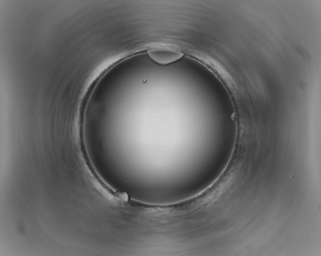 X0000112720902200908201245