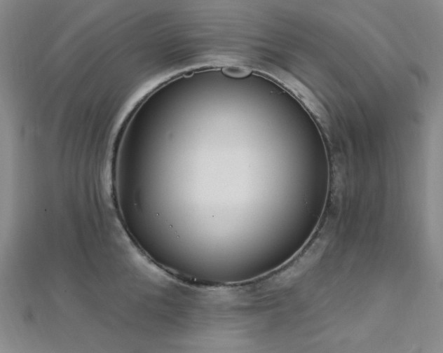 X0000112720904200908201245